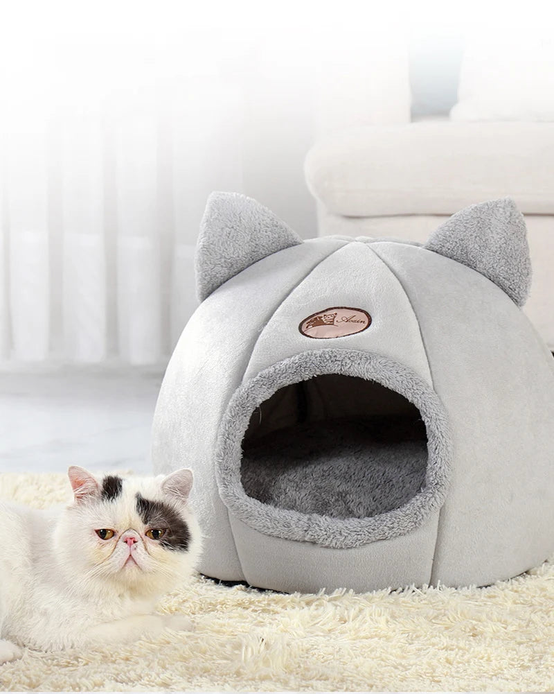 Winter Comfort Cat Bed & Small Dog House