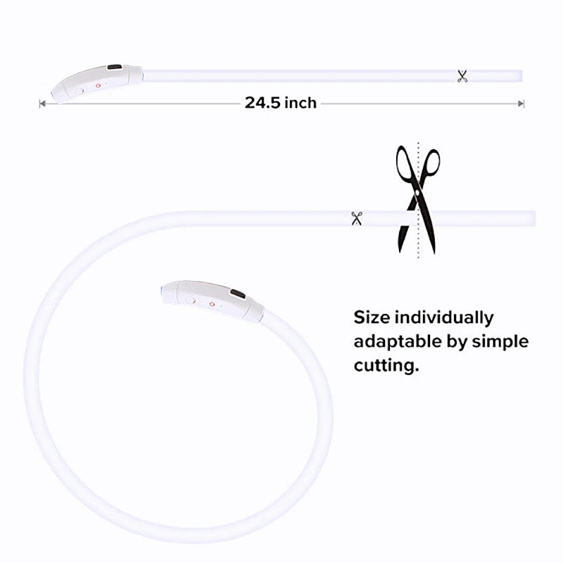 Luminous LED Dog Collar