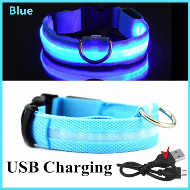 Luminous LED Dog Collar