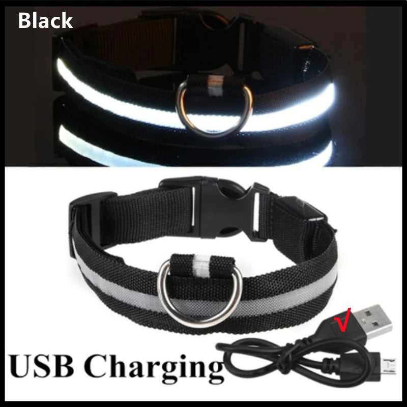 Luminous LED Dog Collar