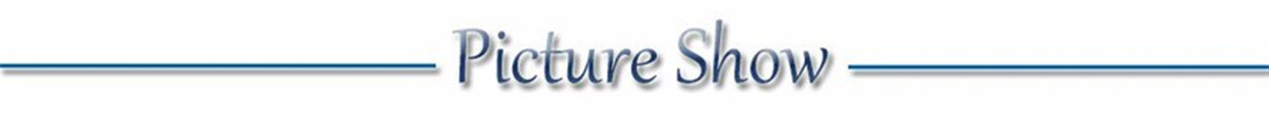 Luminous LED Dog Collar