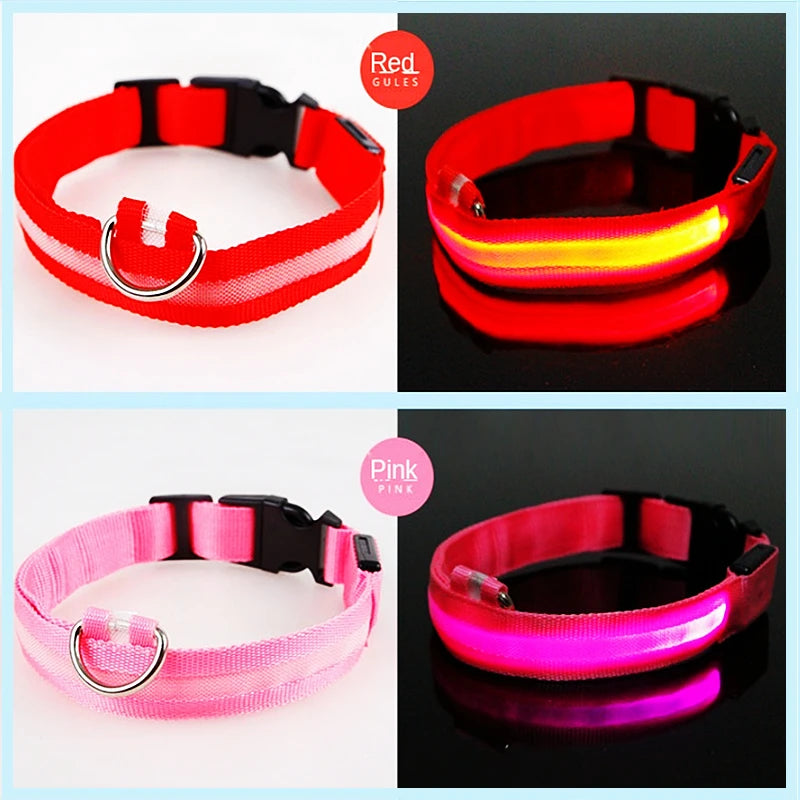 Luminous LED Dog Collar