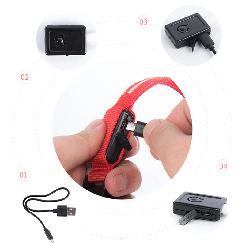 Luminous LED Dog Collar