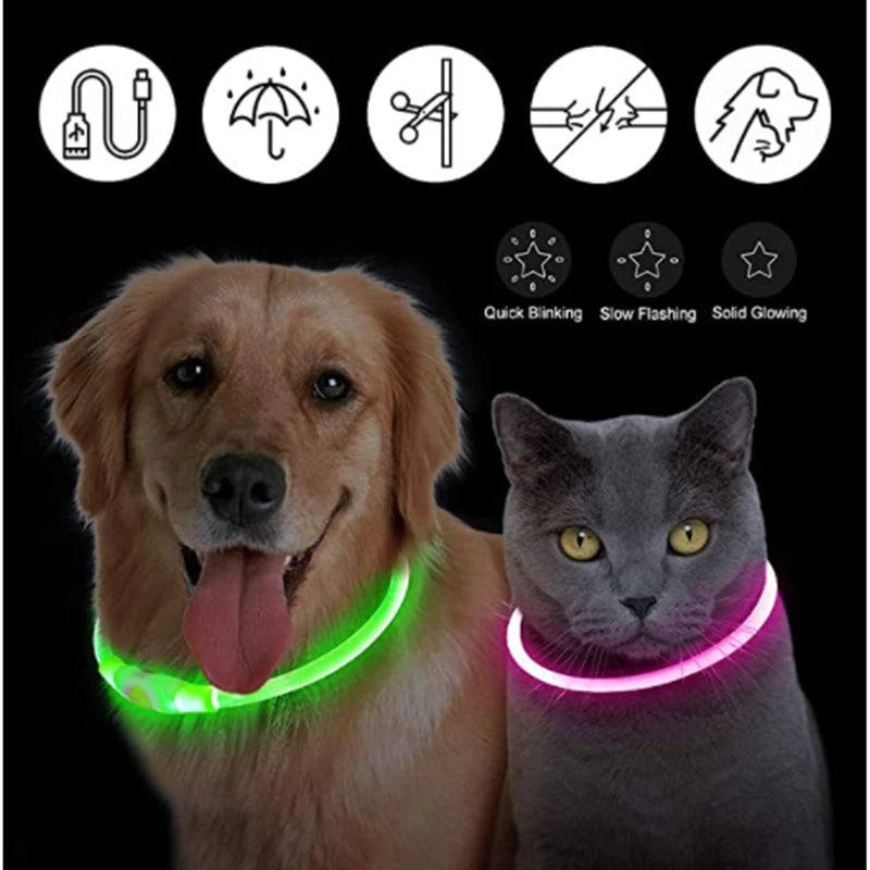 Luminous LED Dog Collar