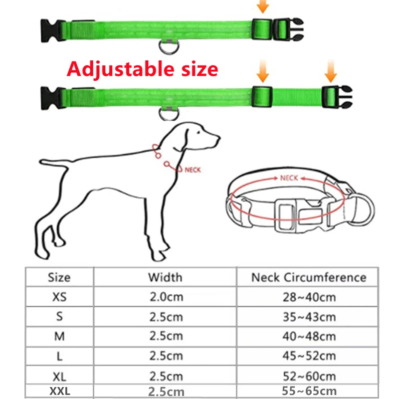 Luminous LED Dog Collar
