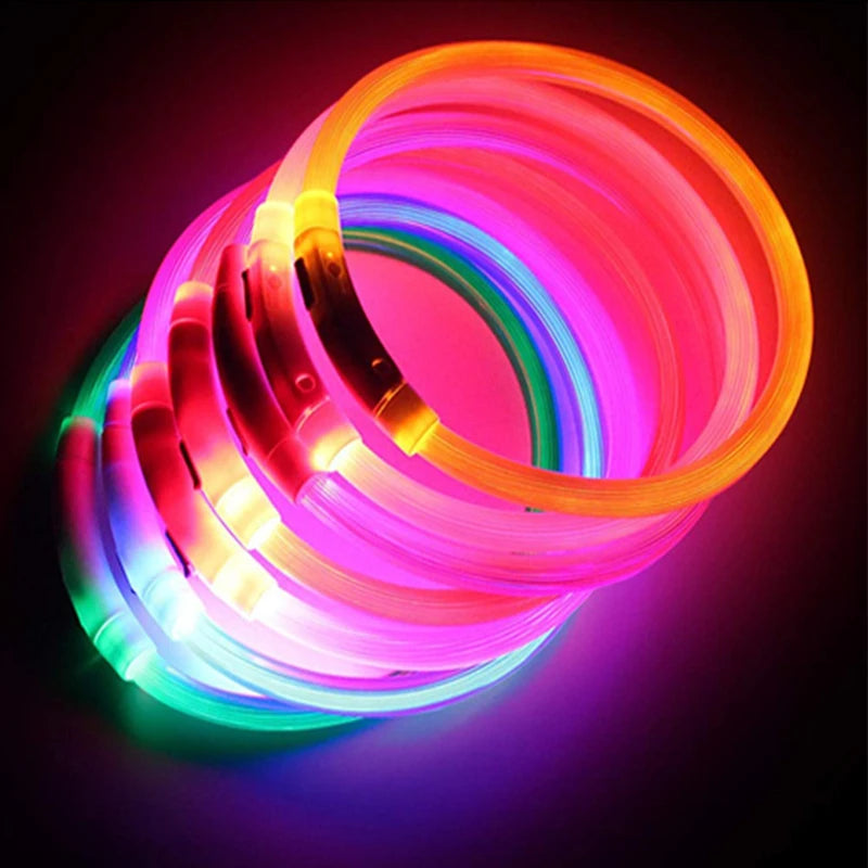 Luminous LED Dog Collar