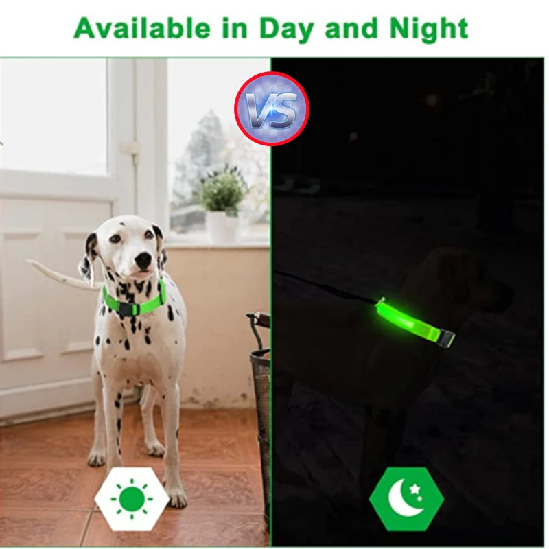 Luminous LED Dog Collar