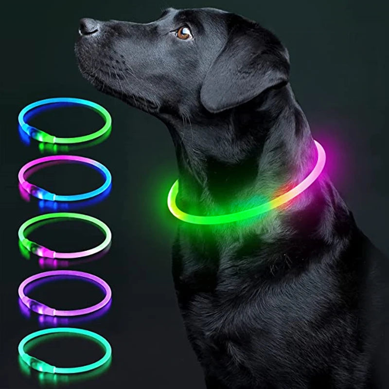 Luminous LED Dog Collar