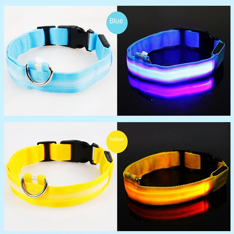 Luminous LED Dog Collar