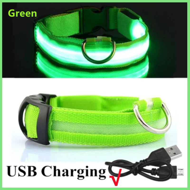 Luminous LED Dog Collar