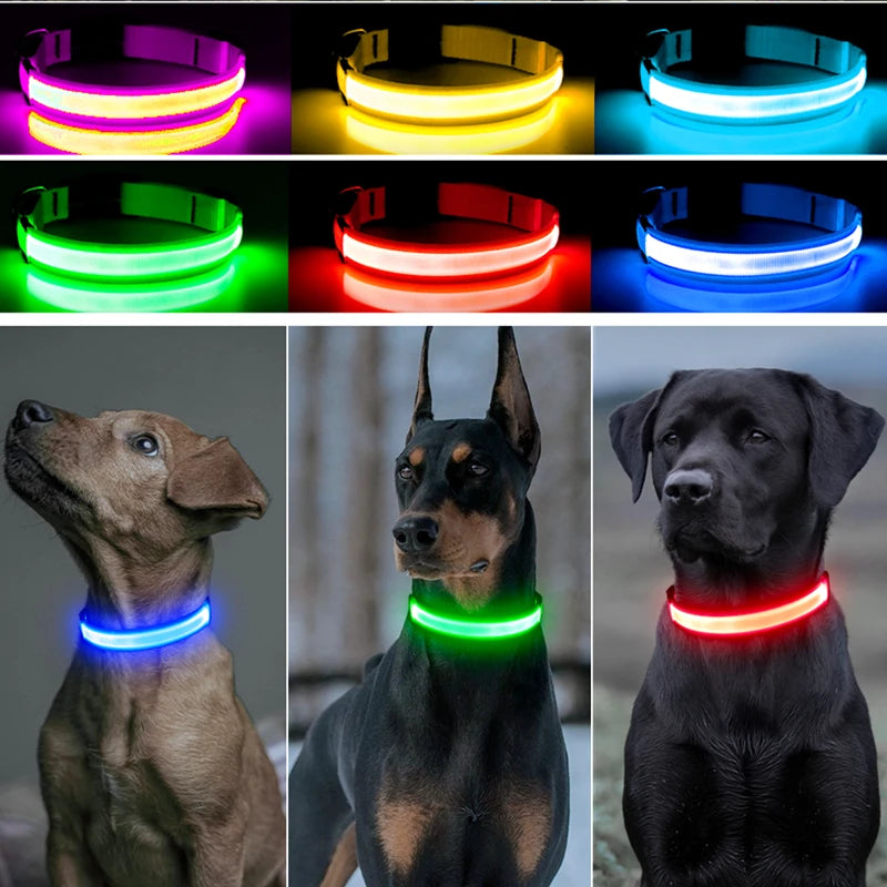 Luminous LED Dog Collar