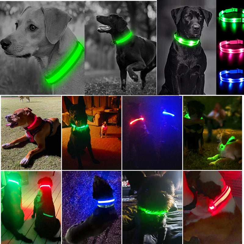 Luminous LED Dog Collar