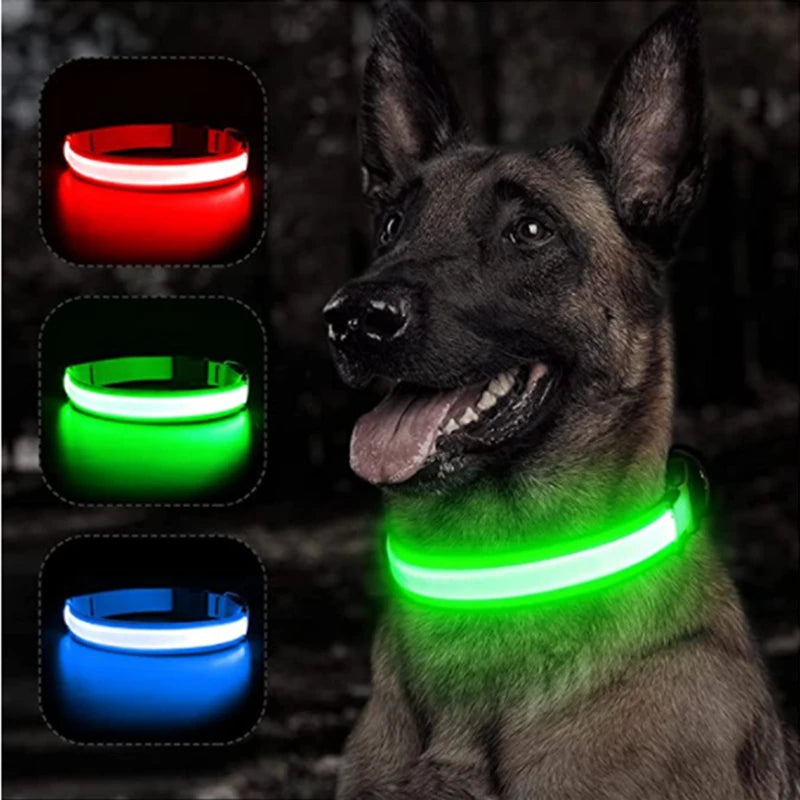 Luminous LED Dog Collar