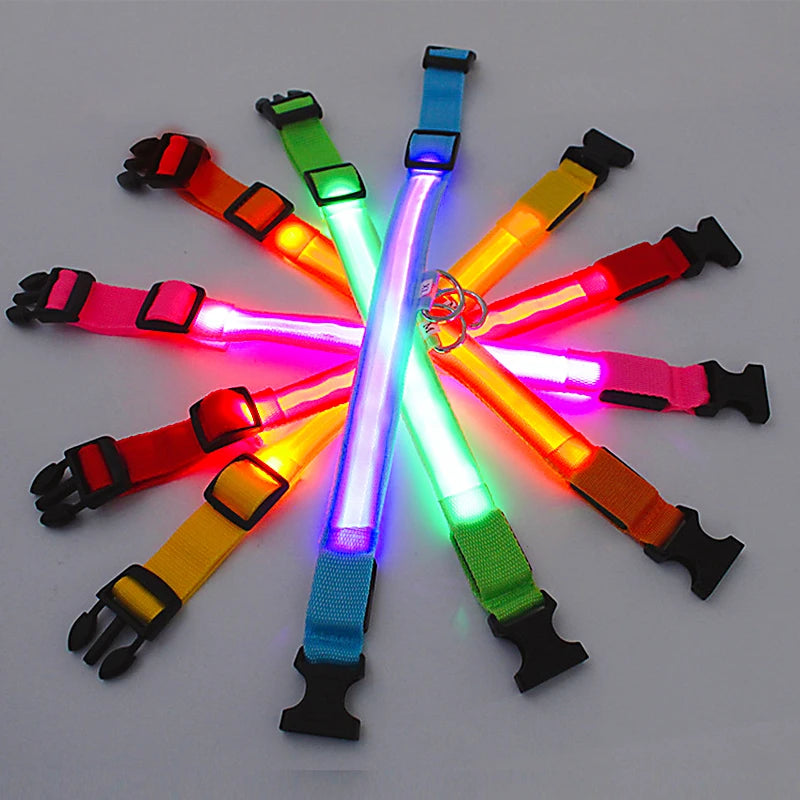 Luminous LED Dog Collar