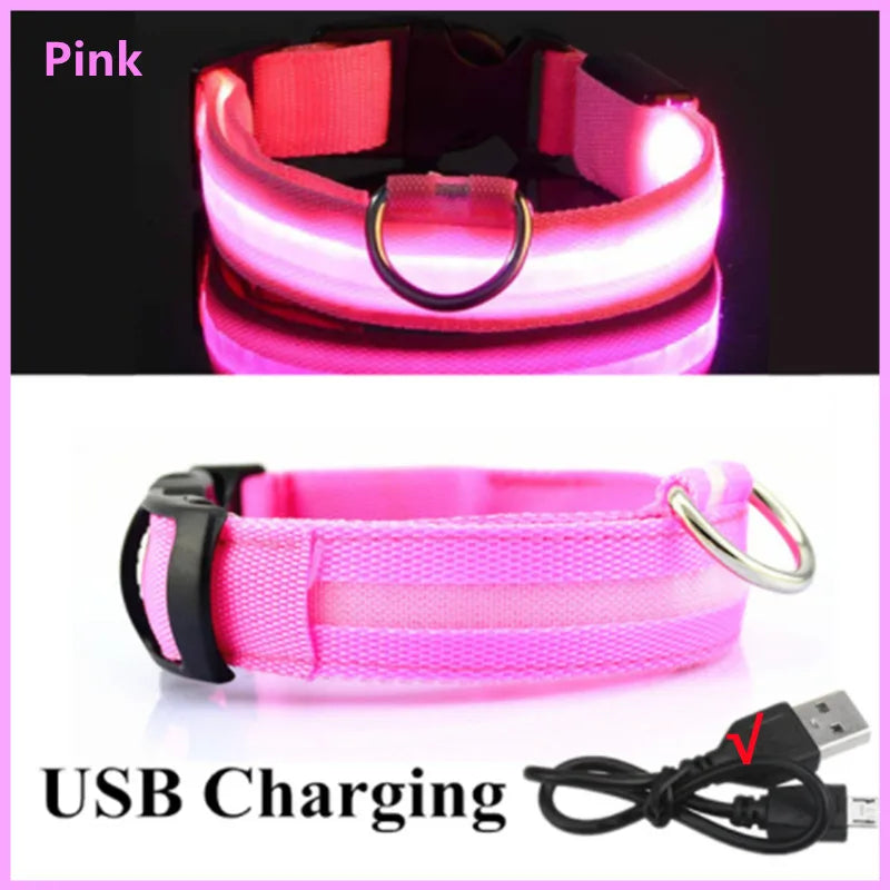 Luminous LED Dog Collar