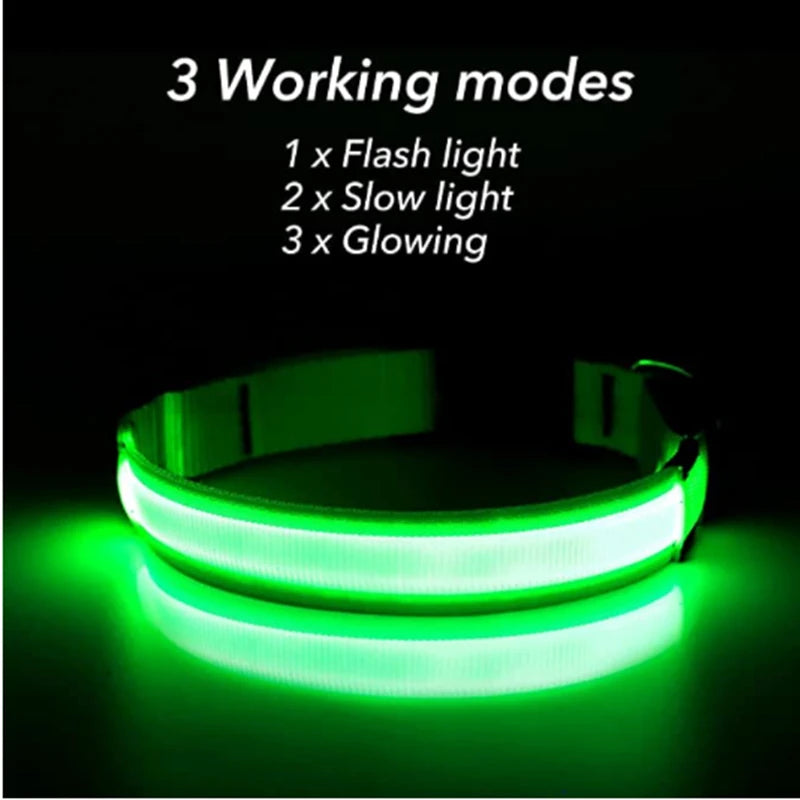 Luminous LED Dog Collar