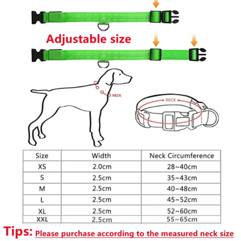 Luminous LED Dog Collar