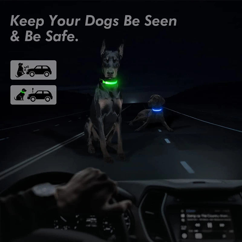 Luminous LED Dog Collar